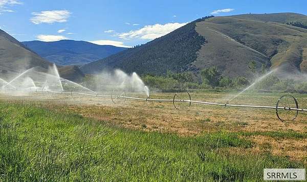 18.8 Acres of Land for Sale in Tendoy, Idaho