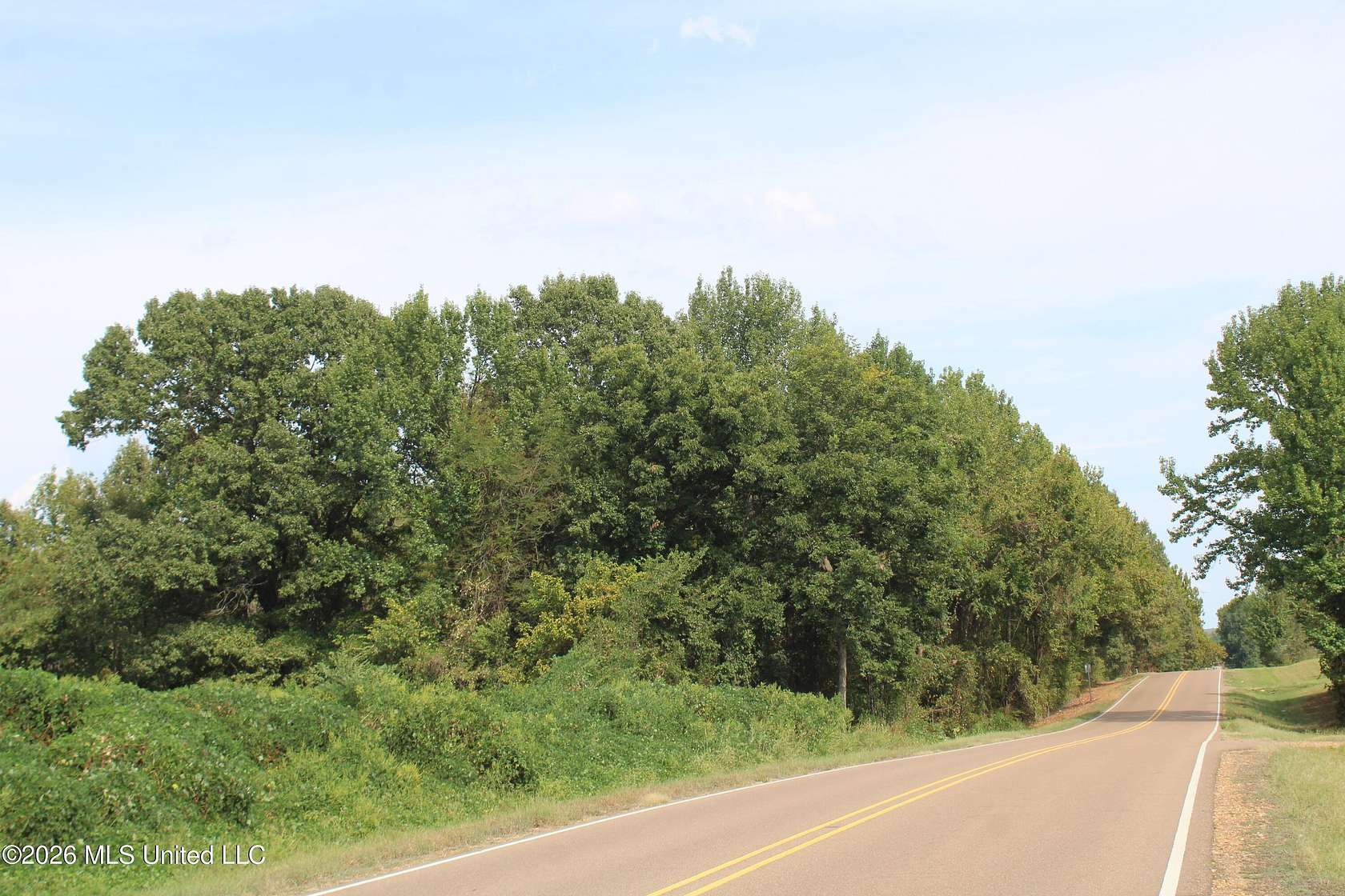 16.5 Acres of Land for Sale in Nesbit, Mississippi