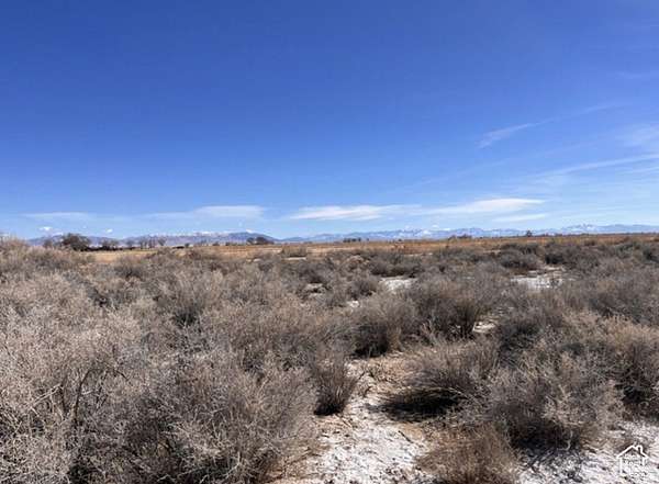 20 Acres of Land for Sale in Abraham, Utah