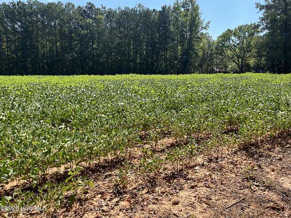 13 Acres of Land for Sale in Spring Hope, North Carolina