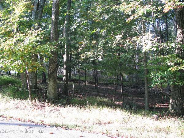 0.49 Acres of Residential Land for Sale in Henryville, Pennsylvania