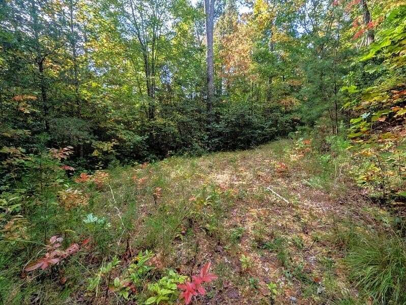 0.78 Acres of Land for Sale in Bryson City, North Carolina