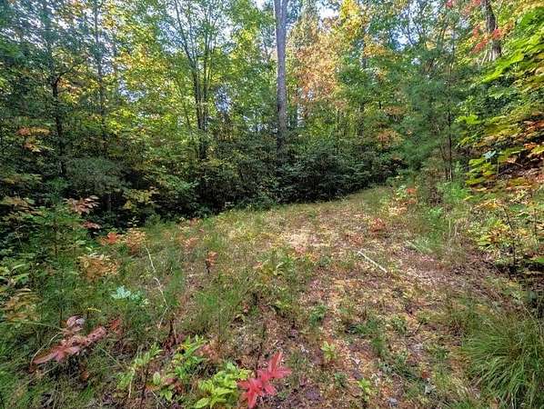 0.78 Acres of Land for Sale in Bryson City, North Carolina