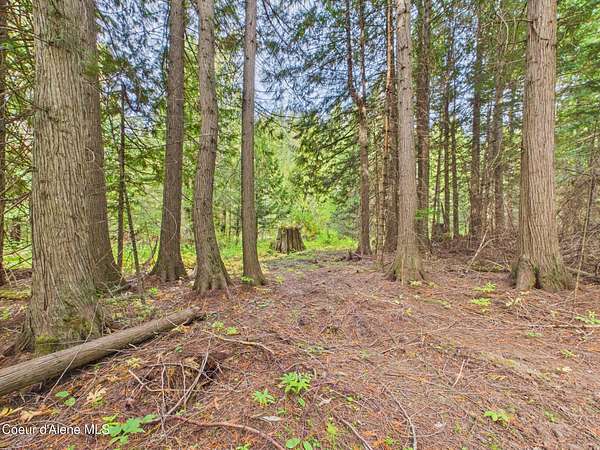 3.3 Acres of Residential Land for Sale in Kingston, Idaho