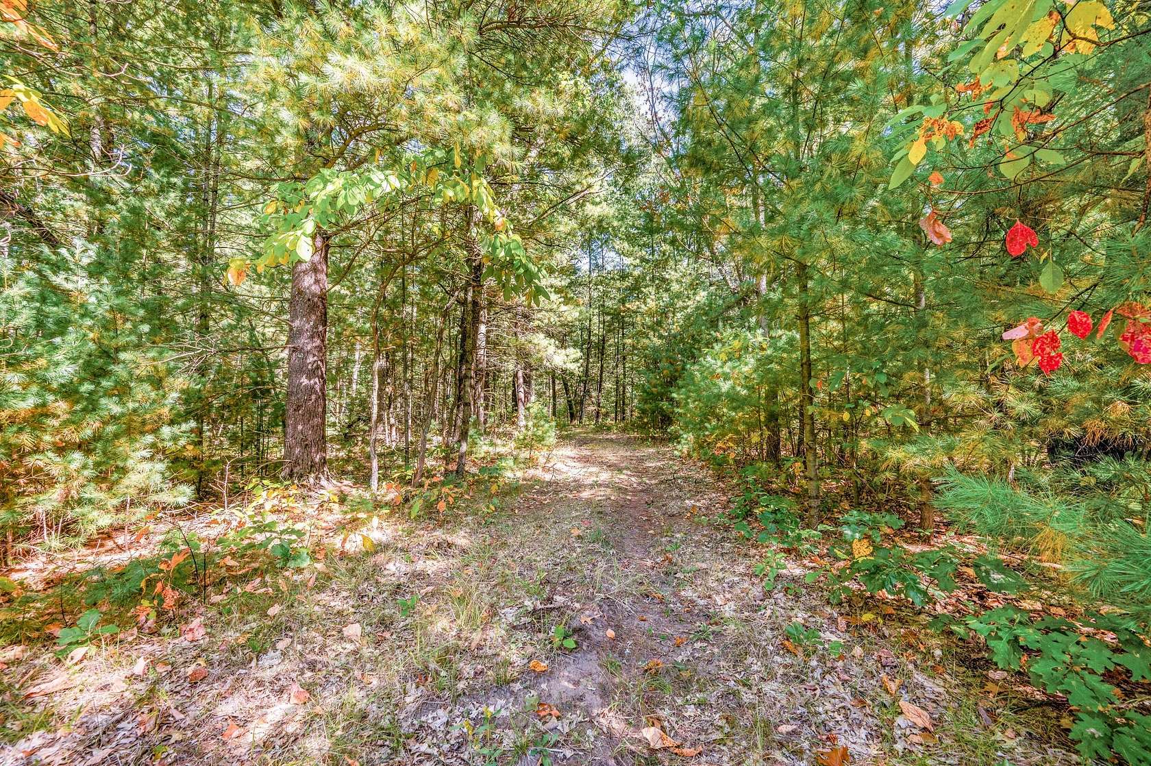 40 Acres of Recreational Land for Sale in White Cloud, Michigan