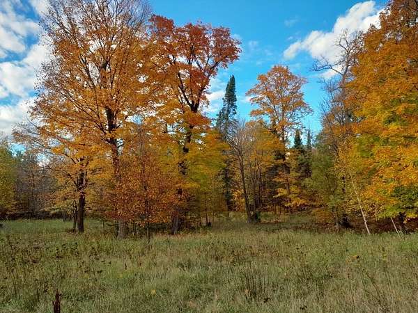 20.6 Acres of Recreational Land with Home for Sale in Deer River Township, Minnesota