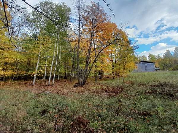 20.6 Acres of Recreational Land with Home for Sale in Deer River Township, Minnesota