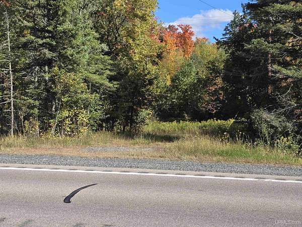 40 Acres of Recreational & Residential Land for Sale in Covington, Michigan