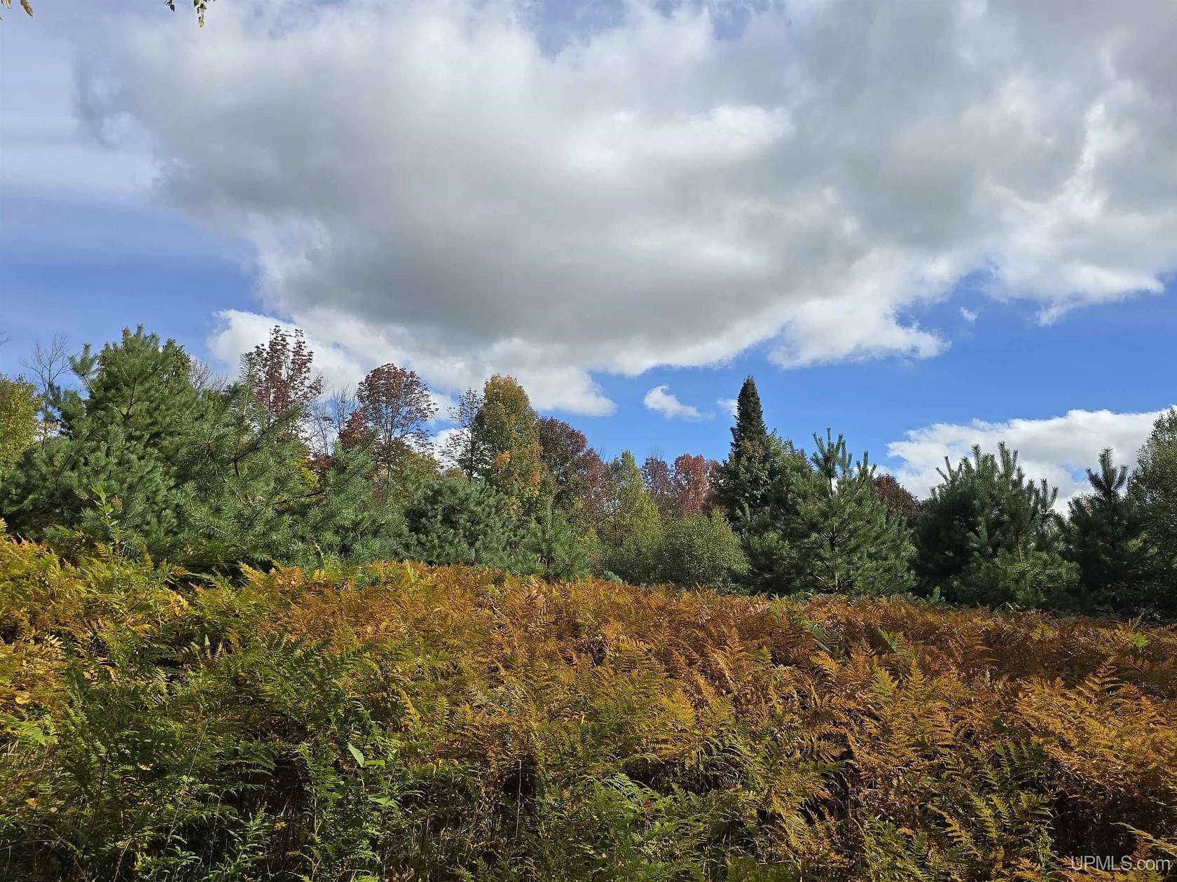 5 Acres of Land for Sale in Bruce Crossing, Michigan