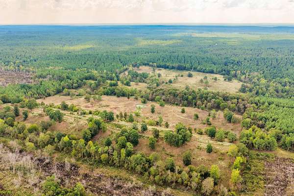 60 Acres of Land for Sale in New Hope, Arkansas