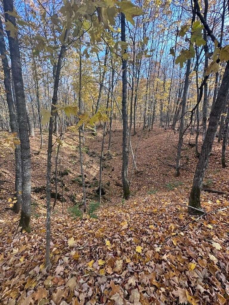 1.29 Acres of Residential Land for Sale in Montreal, Wisconsin