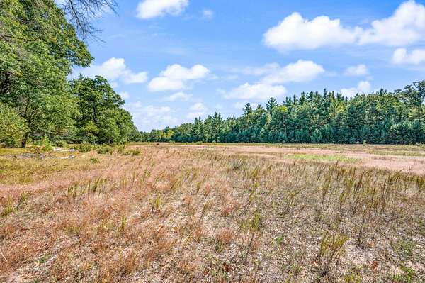 57 Acres of Recreational Land for Sale in White Cloud, Michigan