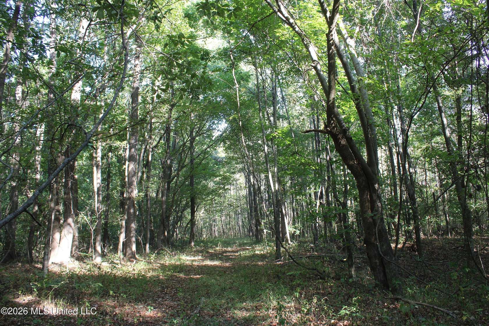 15.1 Acres of Land for Sale in Nesbit, Mississippi
