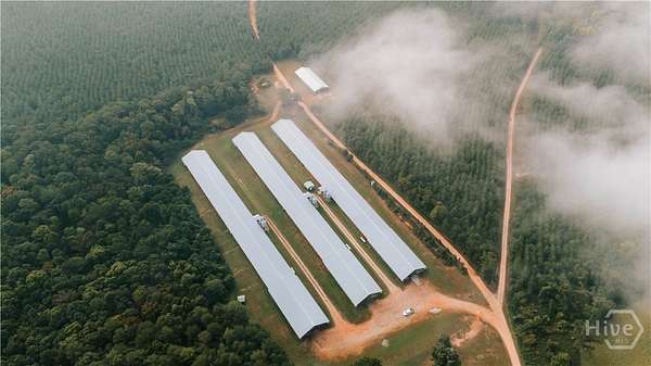 40 Acres of Improved Land for Sale in Stephens, Georgia