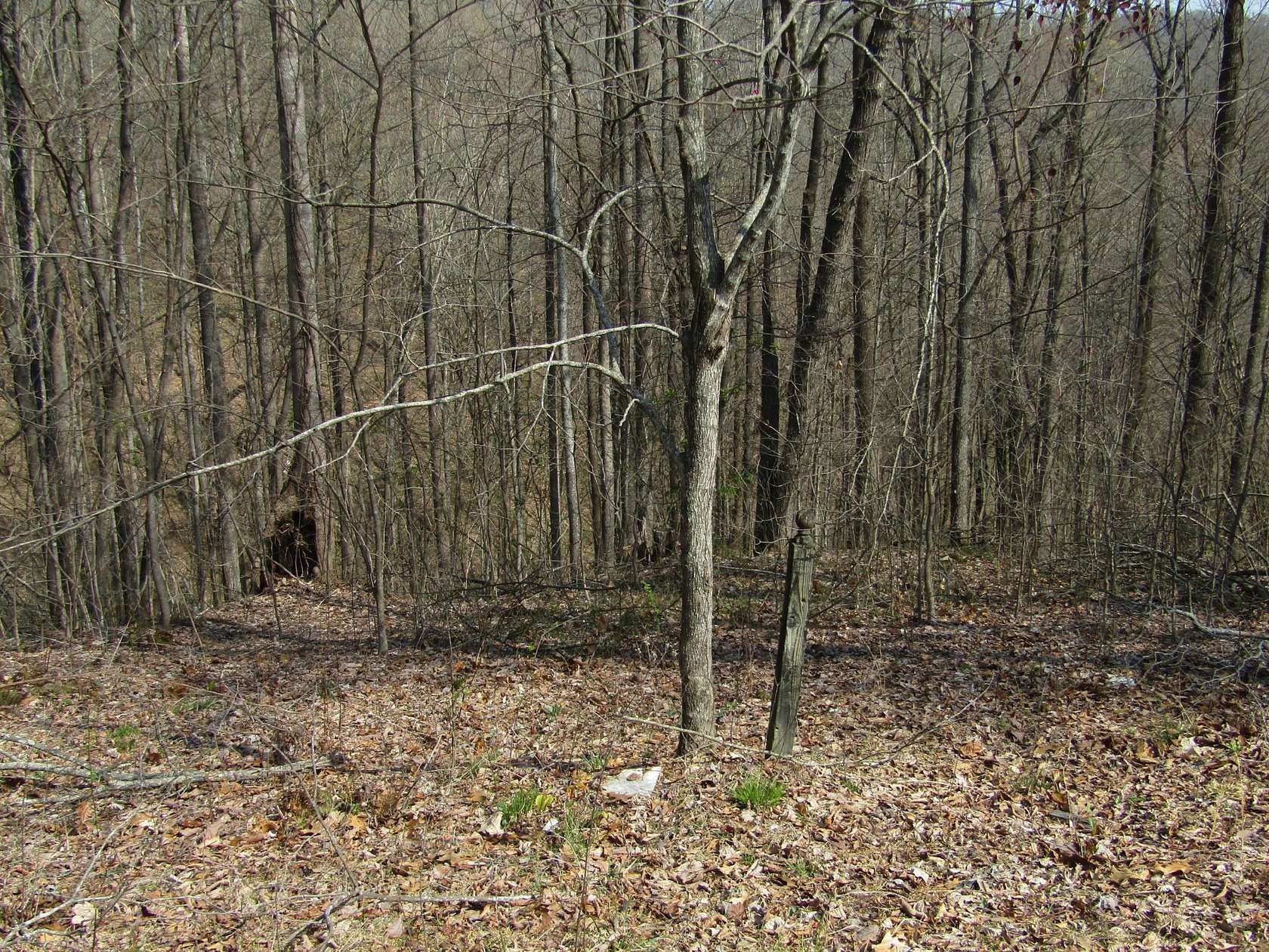 4.7 Acres of Residential Land for Sale in Smithville, Tennessee