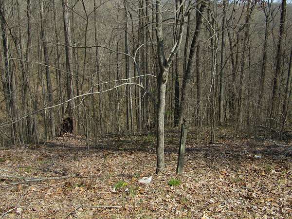 4.7 Acres of Residential Land for Sale in Smithville, Tennessee