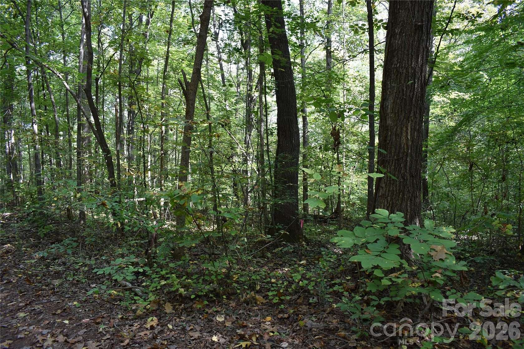 0.45 Acres of Residential Land for Sale in Lincolnton, North Carolina