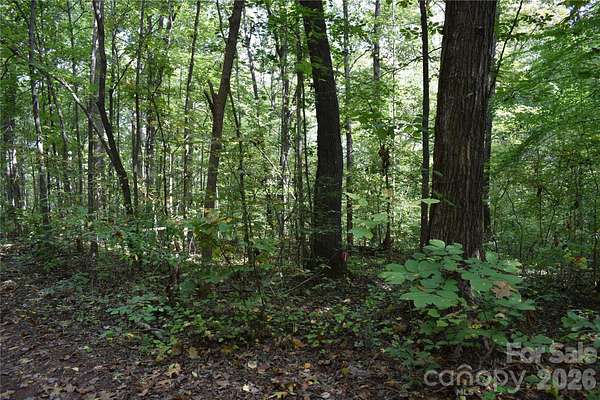 0.45 Acres of Residential Land for Sale in Lincolnton, North Carolina
