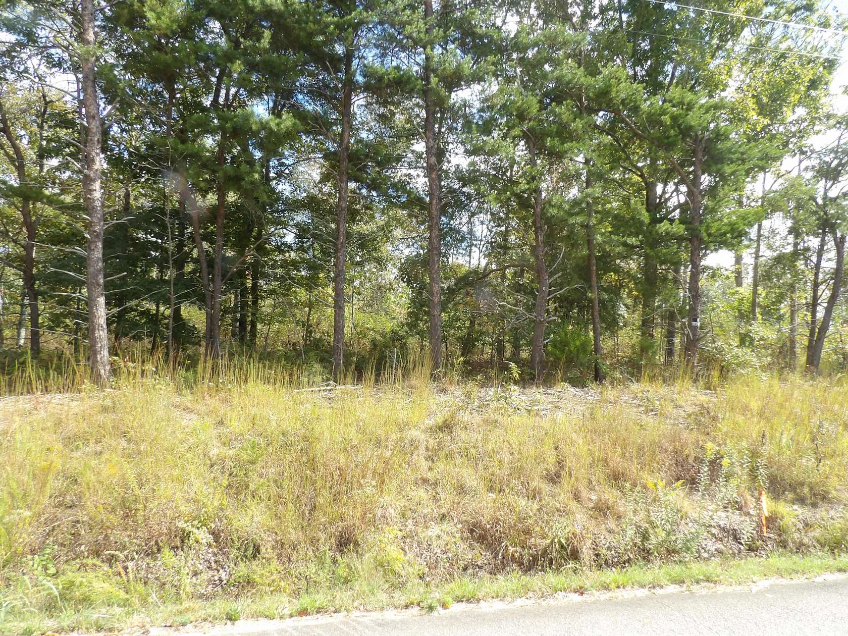 18.7 Acres of Recreational Land for Sale in Waverly, Tennessee