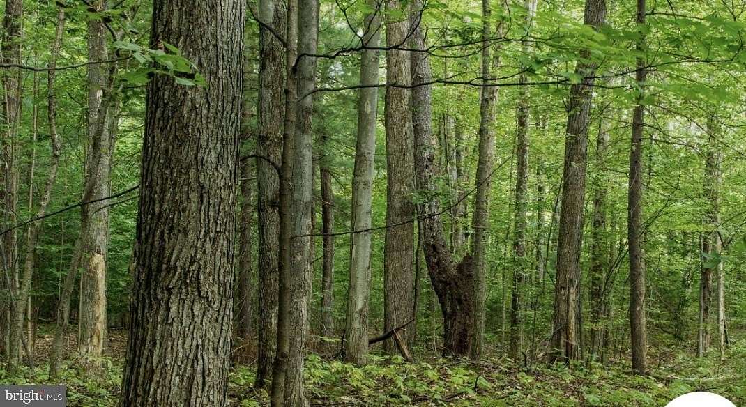 21.8 Acres of Recreational & Residential Land for Sale in Laurel, Maryland