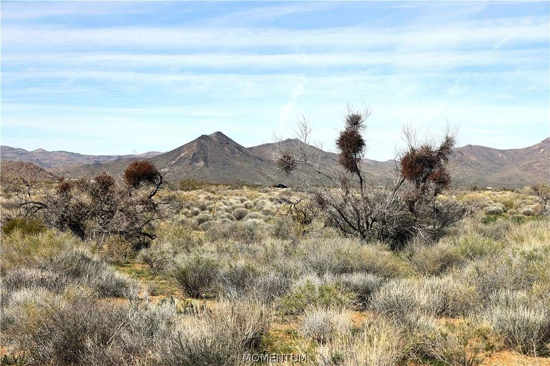 40 Acres of Land for Sale in Golden Valley, Arizona