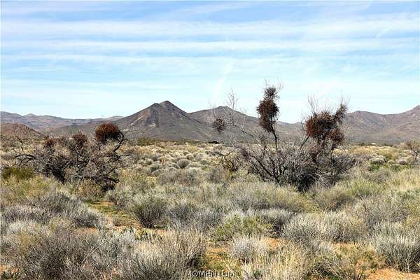 40 Acres of Land for Sale in Golden Valley, Arizona
