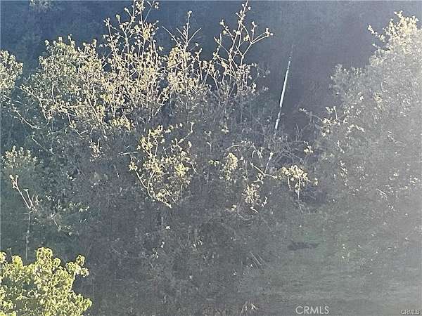 323 Acres of Agricultural & Residential Land for Sale in Lockwood, California