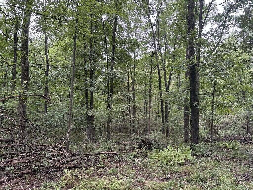 35.5 Acres of Recreational & Residential Land for Sale in Northern Cambria, Pennsylvania