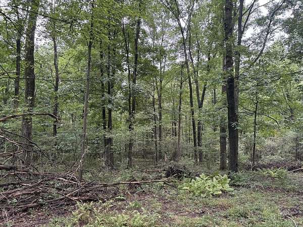 35.5 Acres of Recreational & Residential Land for Sale in Northern Cambria, Pennsylvania