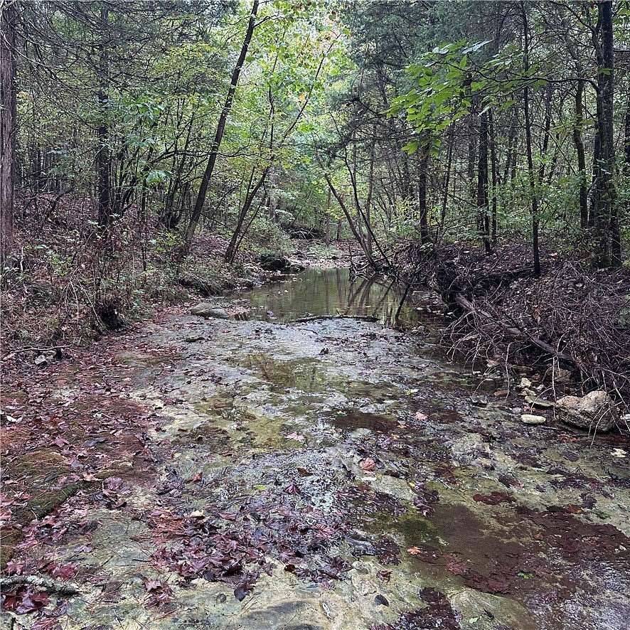 80.8 Acres of Recreational Land for Sale in Berryville, Arkansas