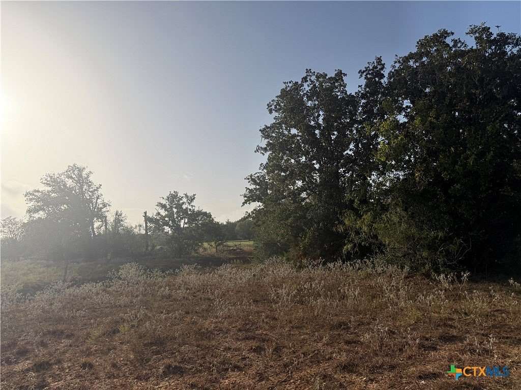28.5 Acres of Agricultural & Residential Land for Sale in Stockdale, Texas