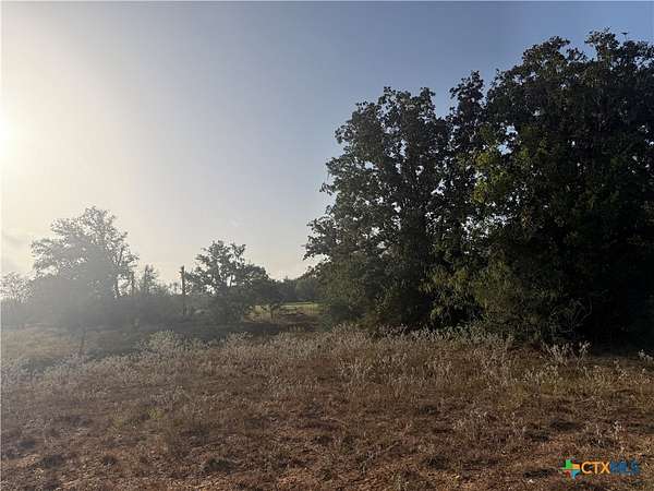 28.5 Acres of Agricultural & Residential Land for Sale in Stockdale, Texas
