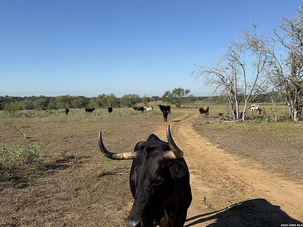 28.5 Acres of Land for Sale in Stockdale, Texas