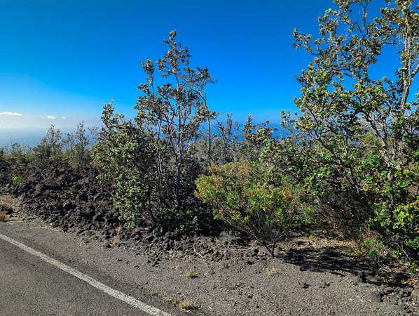 1 Acre of Residential Land for Sale in Hawaiian Ocean View, Hawaii