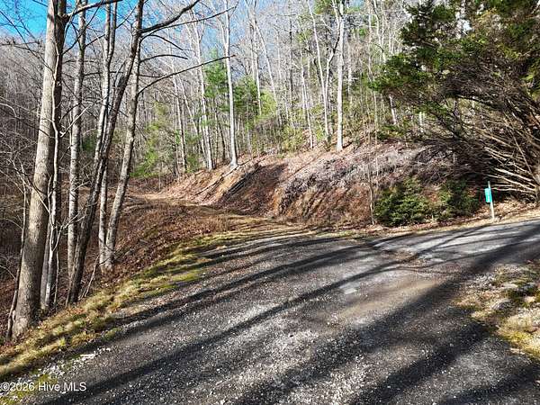 Residential Land for Sale in Blairsville, Georgia