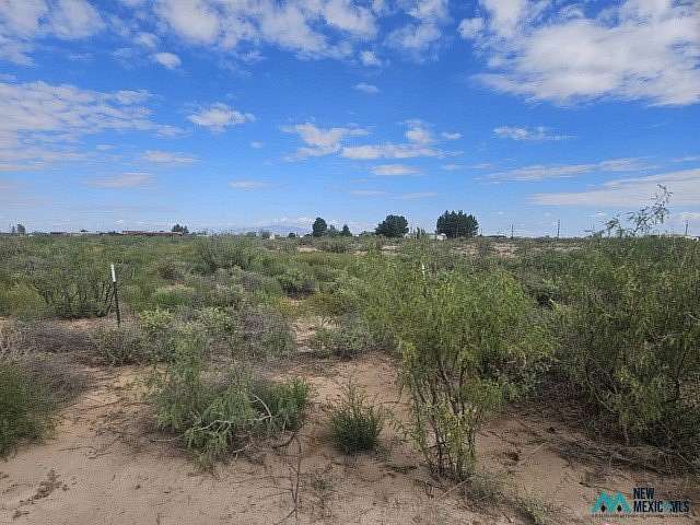 5 Acres of Land for Sale in Deming, New Mexico