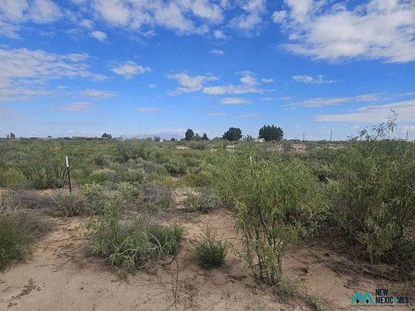 5 Acres of Land for Sale in Deming, New Mexico