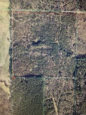 40 Acres of Recreational Land for Sale in Blue Bayou Township, Arkansas