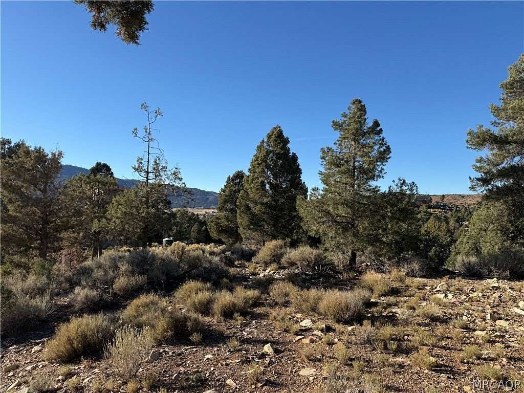 0.25 Acres of Residential Land for Sale in Big Bear City, California