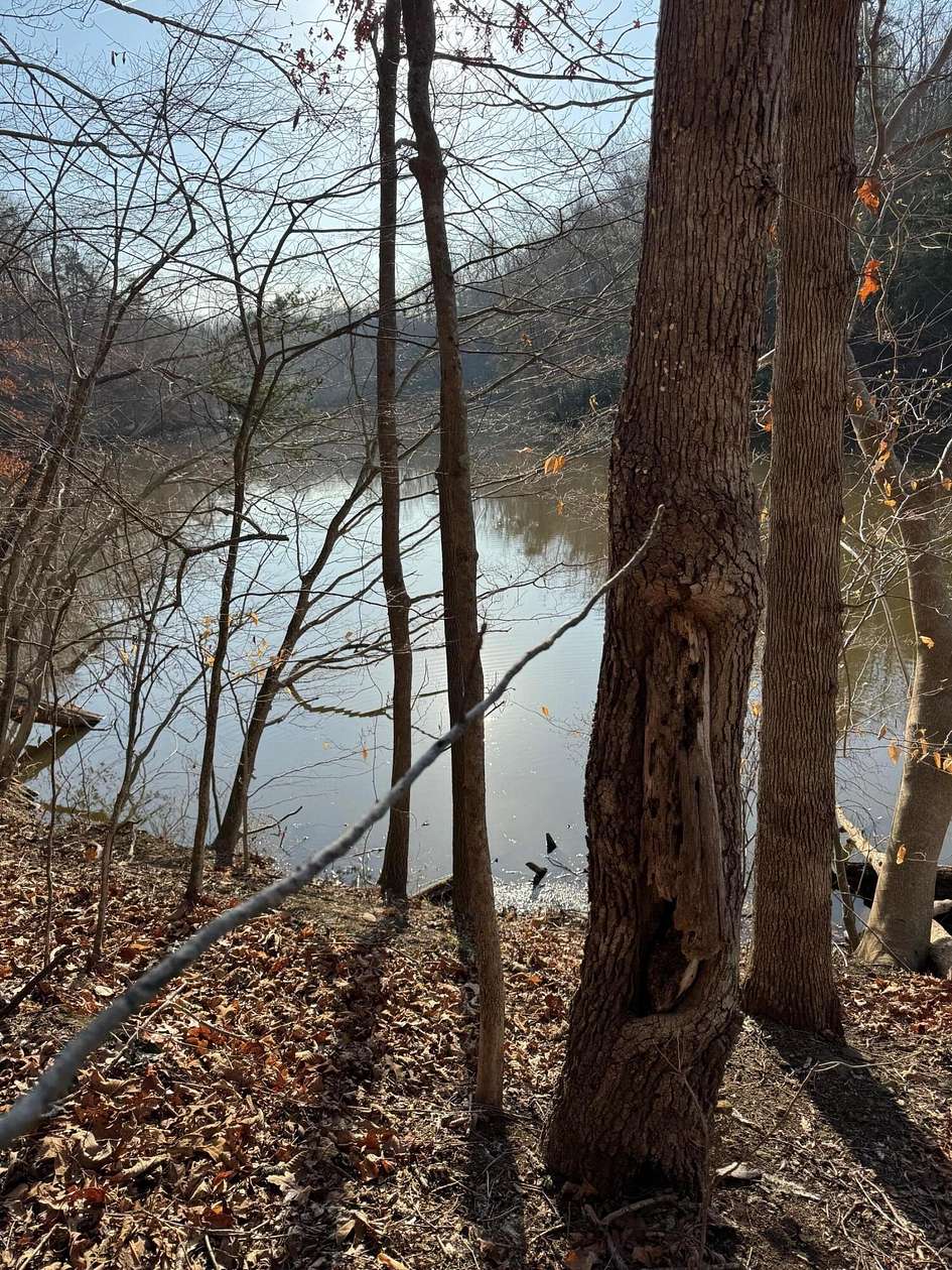 0.73 Acres of Residential Land for Sale in Hardy, Virginia