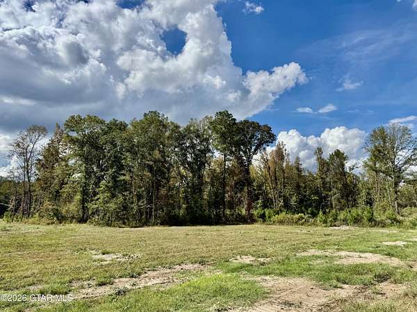 12.2 Acres of Land for Sale in Columbus, Mississippi