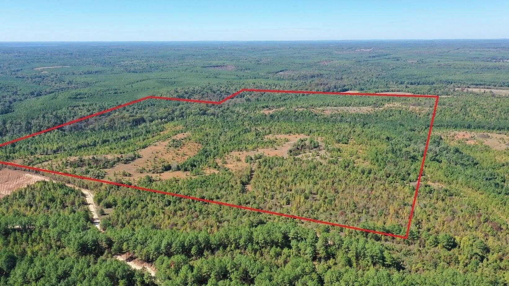 320 Acres of Recreational & Residential Land for Sale in Jefferson, Texas