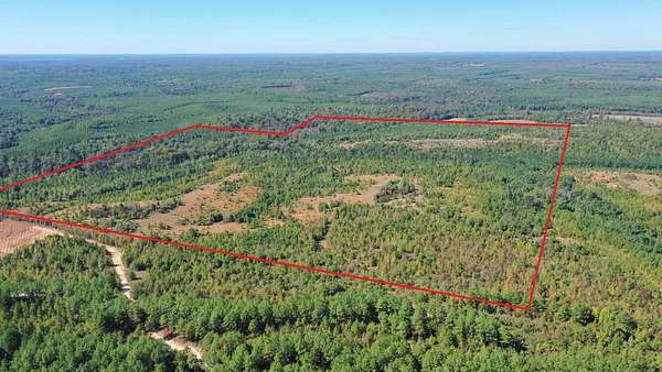 320 Acres of Recreational & Residential Land for Sale in Jefferson, Texas