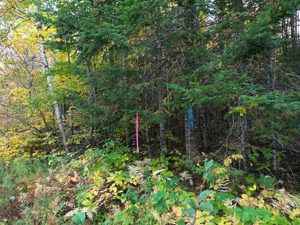 2.47 Acres of Land for Sale in Springfield, Maine