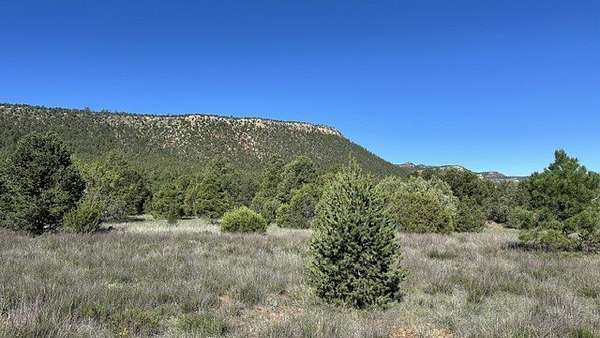 6 Acres of Residential Land for Sale in Rowe, New Mexico