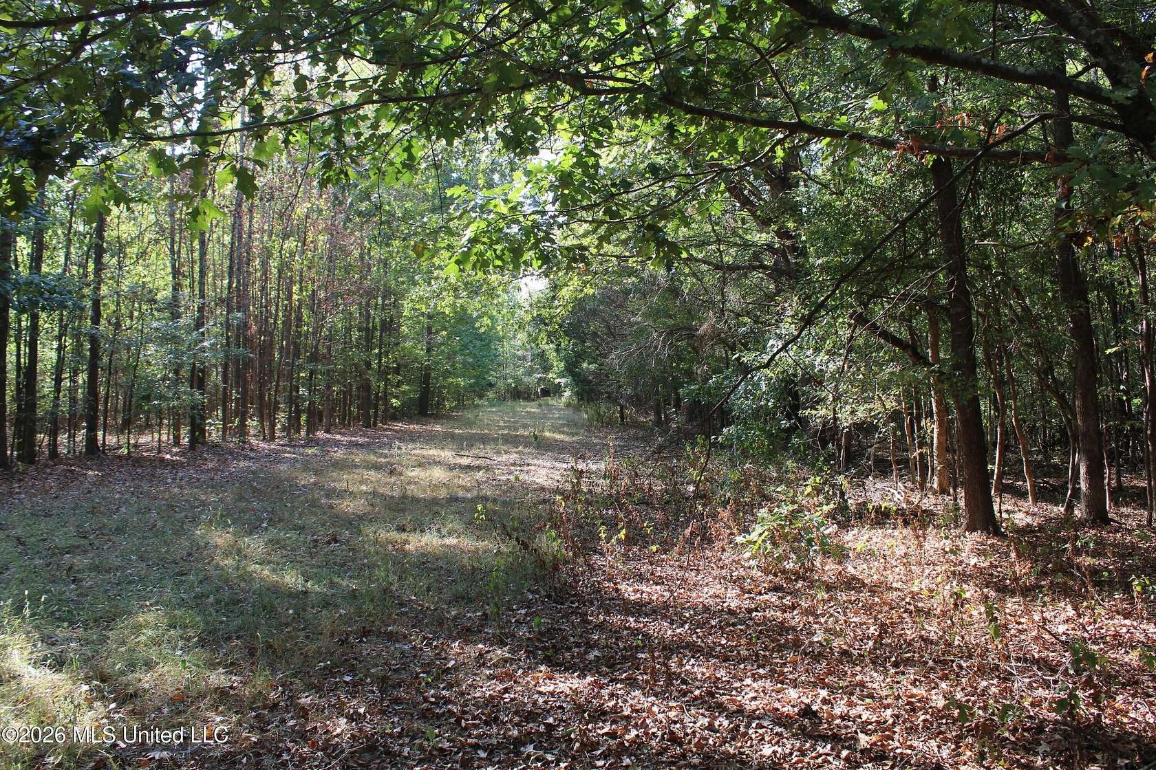 11.3 Acres of Land for Sale in Nesbit, Mississippi