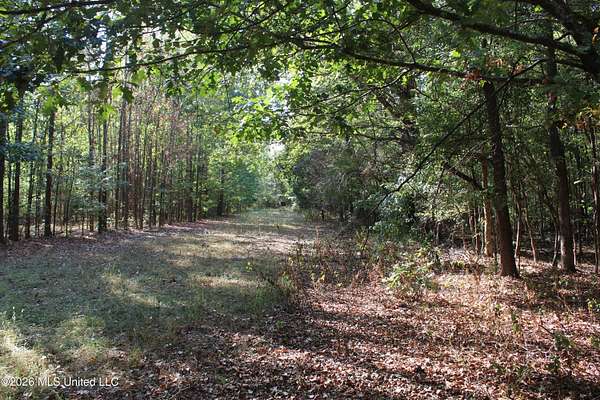 11.3 Acres of Land for Sale in Nesbit, Mississippi