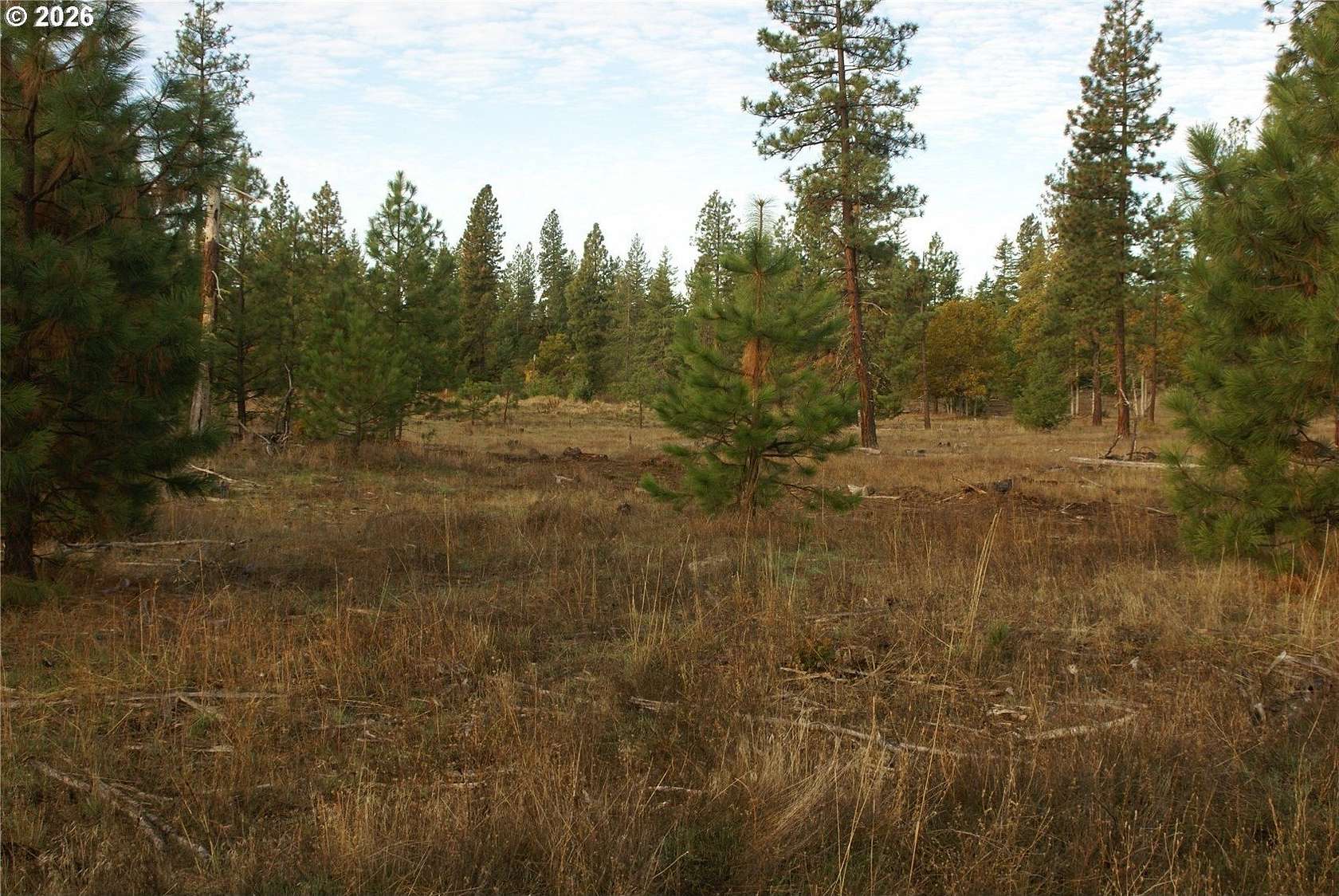 40 Acres of Recreational Land for Sale in Goldendale, Washington