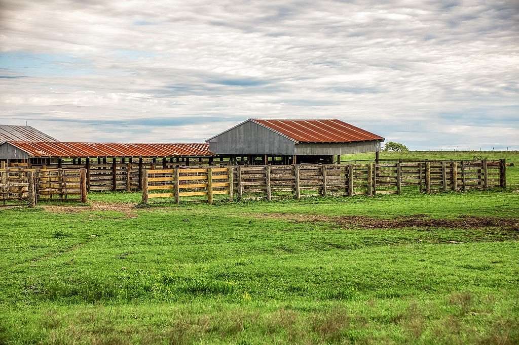203 Acres of Land for Sale in Brenham, Texas