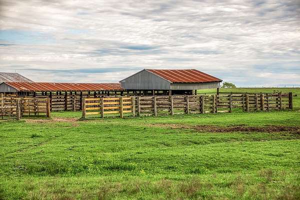 203 Acres of Land for Sale in Brenham, Texas